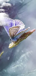 Elegant butterfly resting on a plant with soft lavender hues.