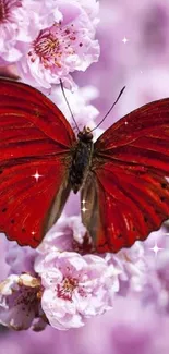 Red butterfly on pink cherry blossoms wallpaper.