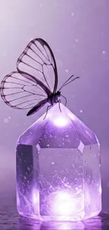 Butterfly perched on glowing crystal.
