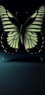 Detailed green butterfly on dark background wallpaper.