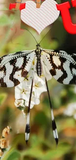 Butterfly with heart and red letter U design.