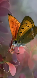 Colorful butterfly perched on a flower with an elegant design.