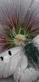 Elegant butterfly resting on a flower with detailed textures.