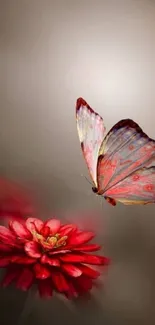 Vibrant butterfly perched on a red flower, set against a blurred background.