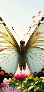 Vibrant butterfly with colorful wings on pink flowers.