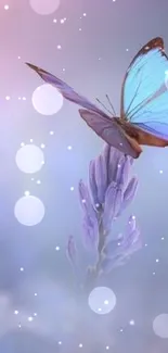 Serene mobile wallpaper with butterfly on lavender bloom in a purple haze.