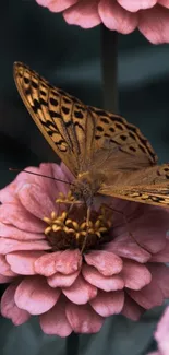 Butterfly resting gracefully on a pink flower.