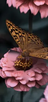 Butterfly resting on a pink flower in nature.