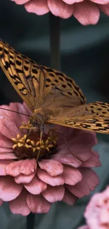 Butterfly resting on a pink flower with detailed wings.