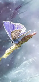 A purple butterfly delicately perched on a flower with a soft, serene background.