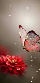 Beautiful butterfly resting on a vibrant red flower.