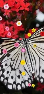 Elegant butterfly resting on bright red flowers.