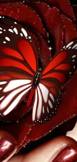 A vibrant red butterfly on a deep red rose with elegant details.