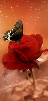 Butterfly sits on red rose with bokeh background.