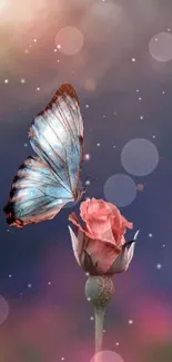 A serene butterfly perched on a blooming rose, set against a soft, colorful background.