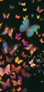 Butterflies fluttering on a dark background, rich in color and elegance.