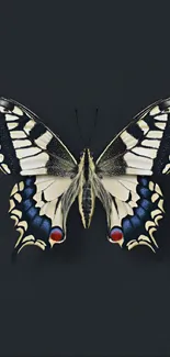 Mobile wallpaper with an elegant butterfly on a dark grey background.