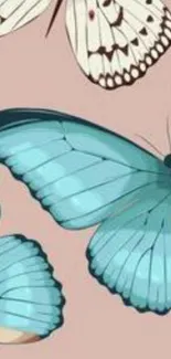 Elegant blue butterfly wallpaper with pastel hues.