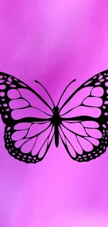 Black butterfly silhouette on pink gradient background.