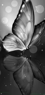 Elegant grayscale butterfly with glowing reflections and bokeh effect.