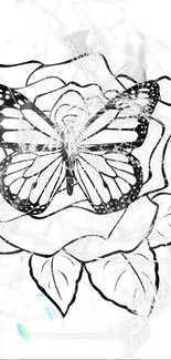 Black and white butterfly on a rose wallpaper design.