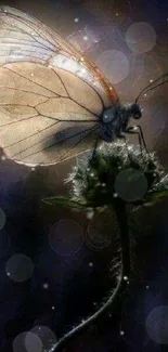 Elegant butterfly perched on a flower in a dark and mystical night scene.