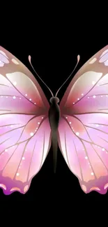 Elegant pink butterfly on a black background wallpaper.