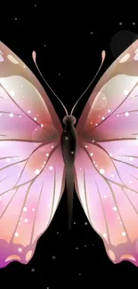 Elegant butterfly with pink and purple wings on a black background.