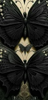 Detailed black butterfly mobile wallpaper.