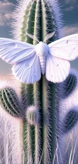 White moth on a tall cactus with a serene sky backdrop.