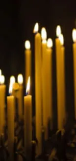 Row of lit candles creating a serene, warm atmosphere in the dark.