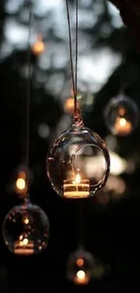 Candlelit glass orbs hanging in a dark setting.