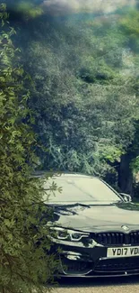 A sleek black car parked amidst lush green trees and foliage.