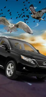 Black car under a vibrant sky with birds in flight.