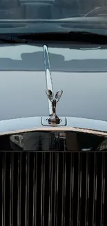 Elegant silver car front view with chrome grille and emblem.