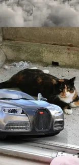 Luxury car with cat and clouds in background for mobile wallpaper.