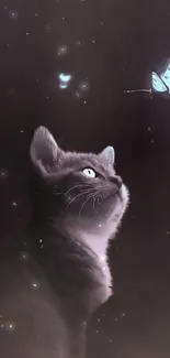 Cat gazing at glowing butterfly on dark background.