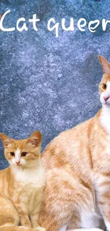 Two elegant orange cats against a textured blue background.