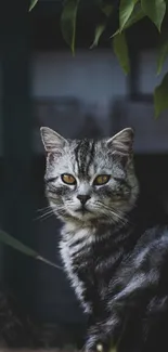 Gray cat sitting gracefully in a lush garden setting.