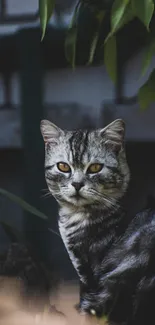 Serene tabby cat with yellow eyes in a green garden.