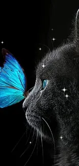 Black cat with vibrant blue butterfly in profile.