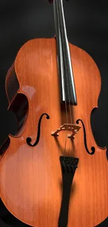Elegant wooden cello against a black background.