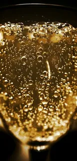 Close-up of champagne bubbles in a glass, exuding elegance.