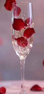 Champagne glass with red rose petals art