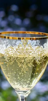 Elegant golden champagne glasses wallpaper for mobile.