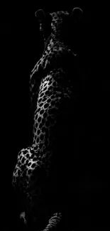 Cheetah silhouette in darkness, elegant mobile wallpaper design.