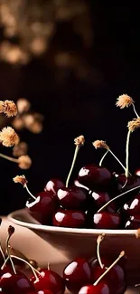 Dark red cherries with dried flowers in bowls on a dark background.
