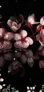 Cherry blossoms reflected on a dark surface with elegant floral design.