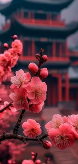 Cherry blossom branches with traditional architecture in the background.