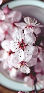 Cherry blossom wallpaper with pink flowers in elegant design.